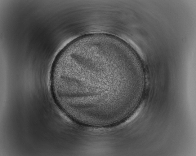 X0000087330885200705112155