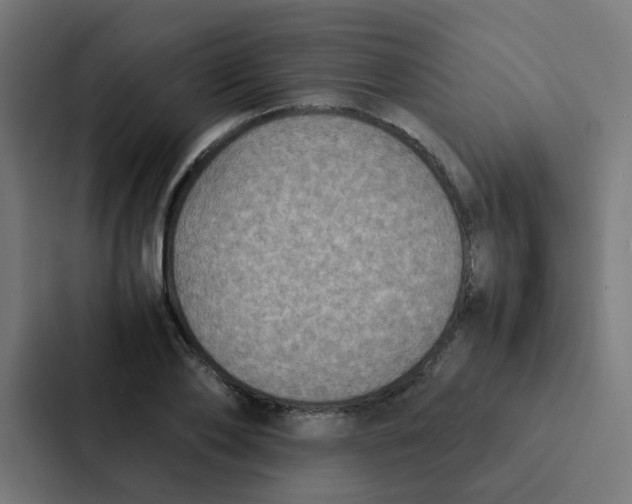 X0000087330886200705112154