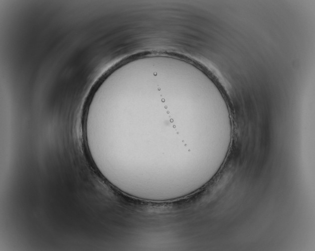 X0000087330887200705112154