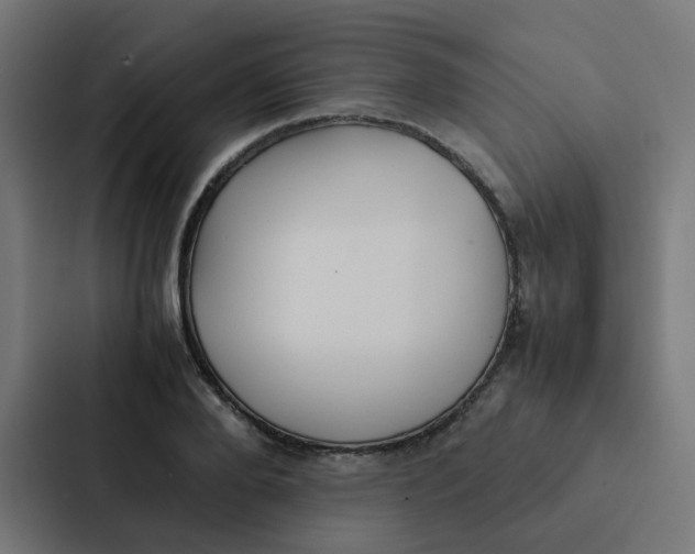 X0000087330888200705112154