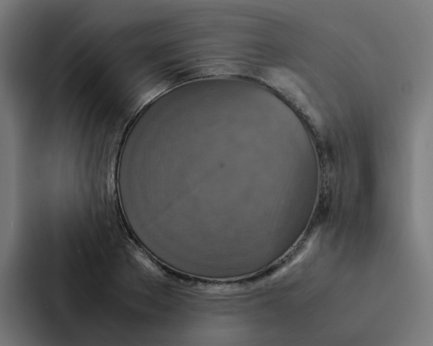 X0000087330889200705112154
