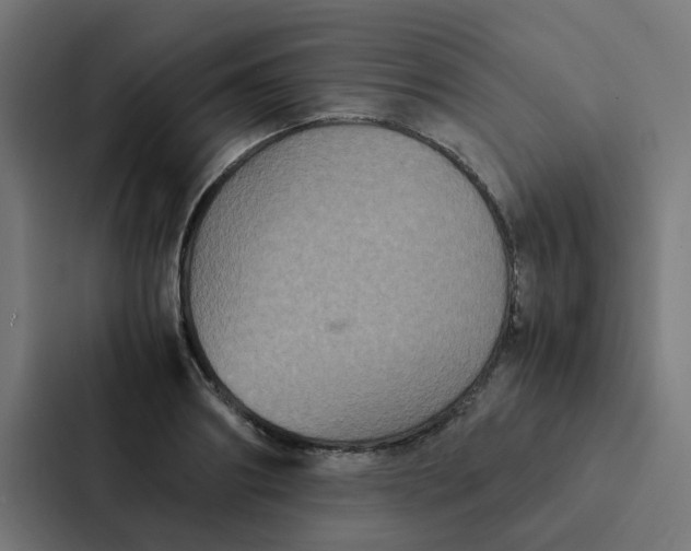 X0000087330890200705112154