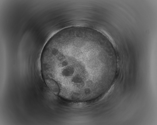 X0000087330891200705112154