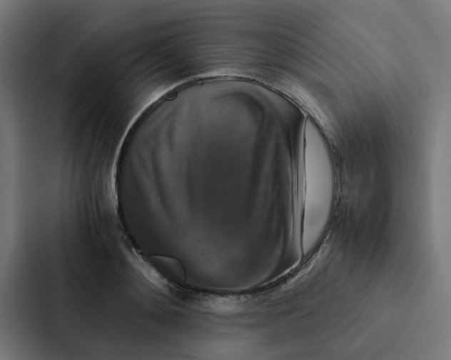 X0000087330892200705112154