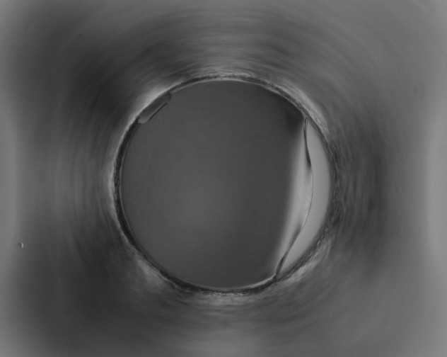 X0000087330893200705112154