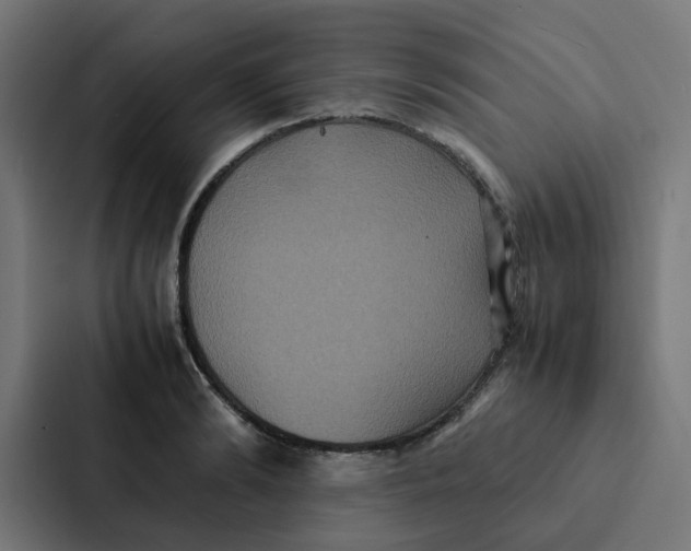 X0000087330894200705112154