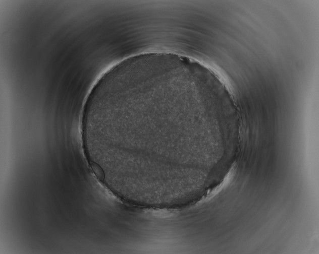 X0000087330896200705112154