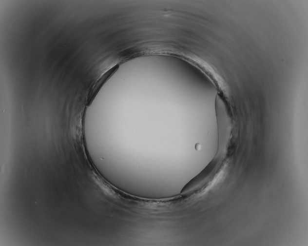 X0000087330897200705112154