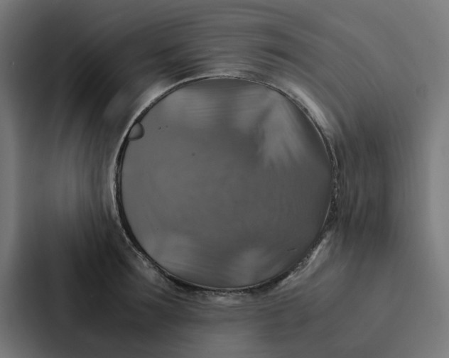 X0000087330899200705112154