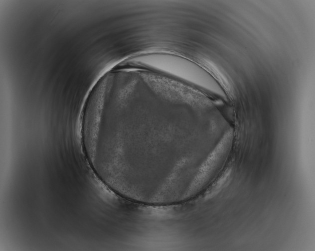X0000087330900200705112154