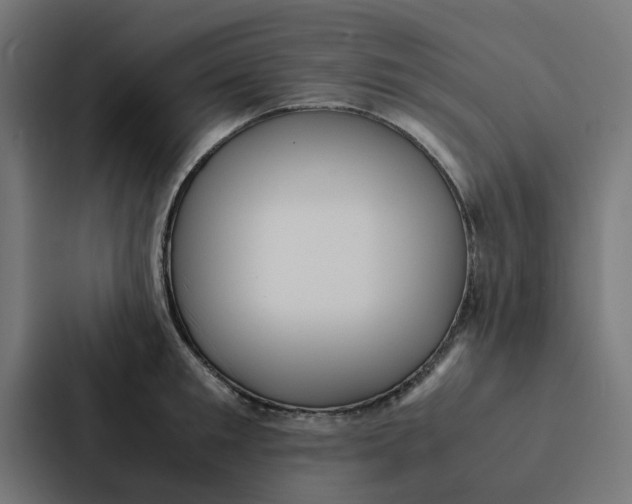 X0000087330901200705112154