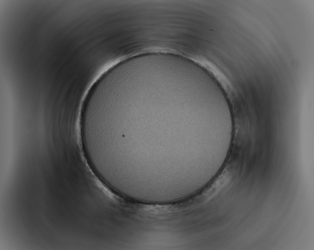 X0000087330902200705112154