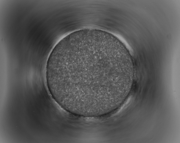X0000087330903200705112154