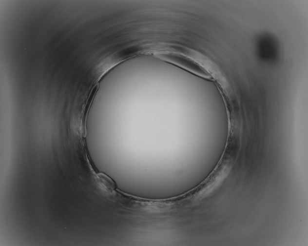 X0000087330905200705112154