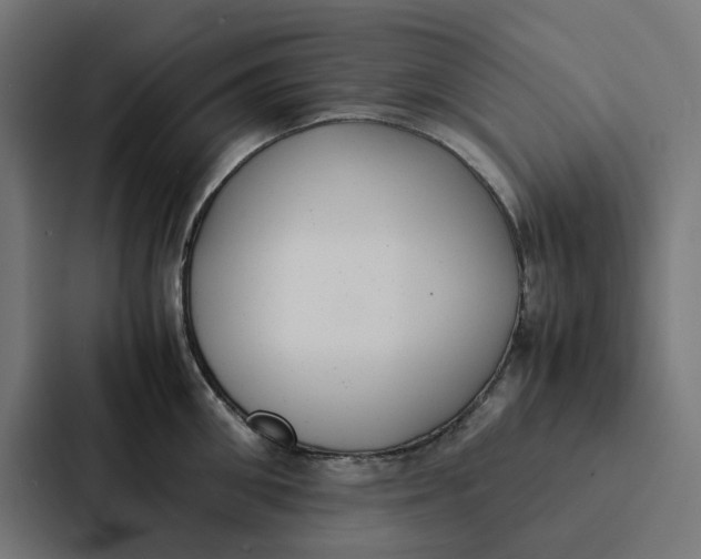X0000087330906200705112154