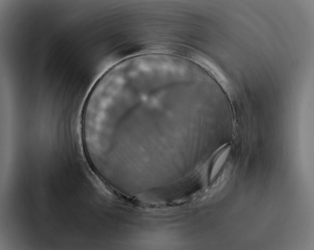 X0000087330907200705112154