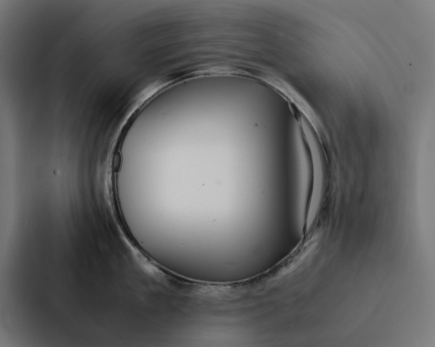 X0000087330909200705112154