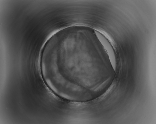 X0000087330910200705112154