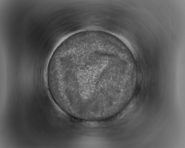 X0000087330911200705112154