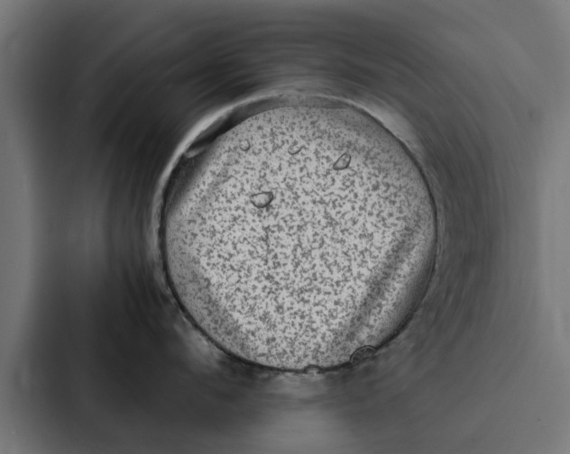 X0000087330912200705112154