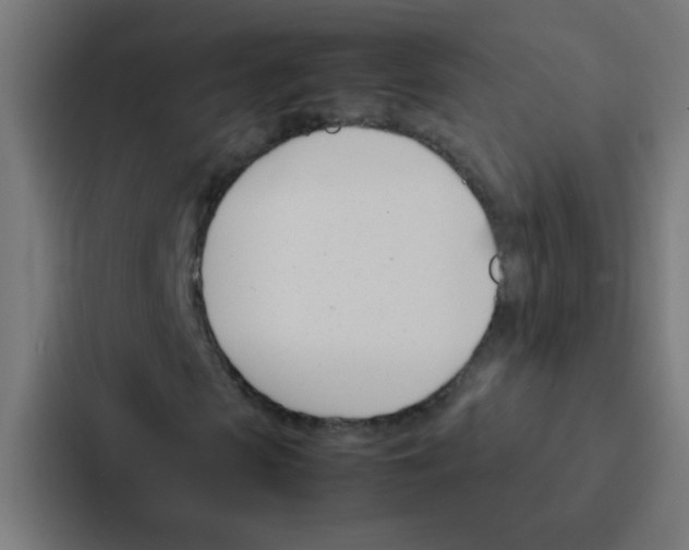 X0000087330913200705112154