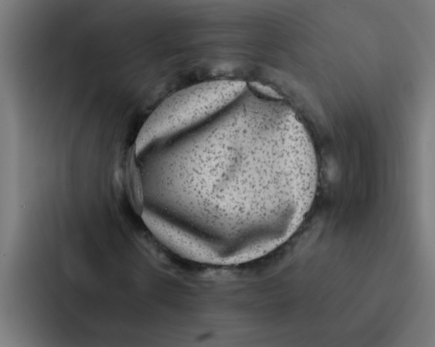 X0000087330914200705112154