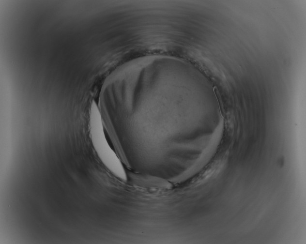 X0000087330916200705112154
