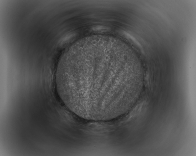 X0000087330917200705112154
