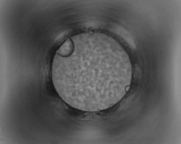 X0000087330918200705112154