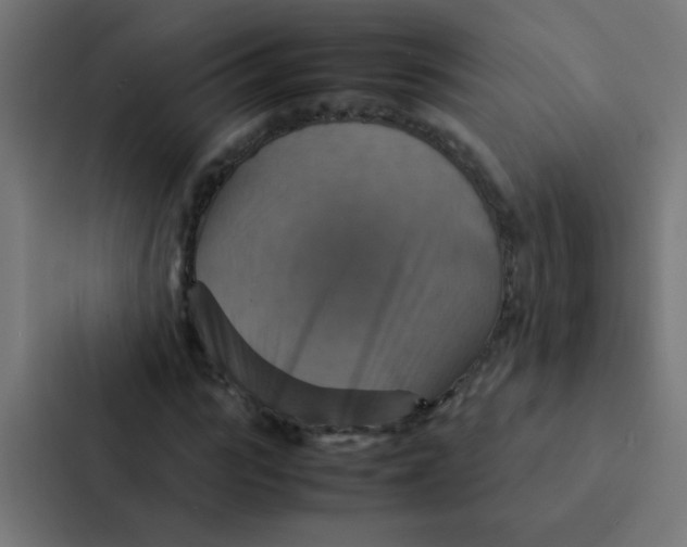 X0000087330919200705112154
