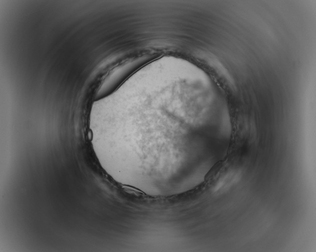 X0000087330920200705112154