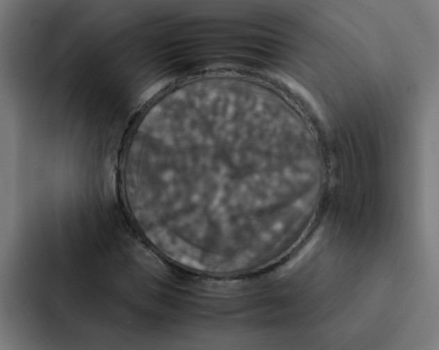 X0000087330921200705112154