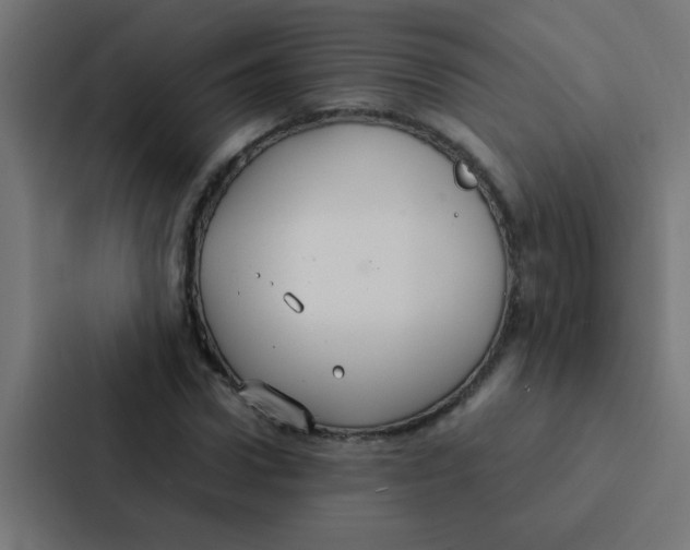 X0000087330922200705112154