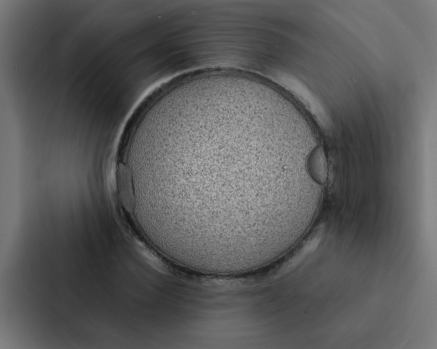 X0000087330924200705112154