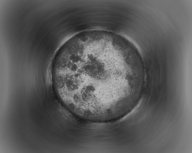X0000087330925200705112154