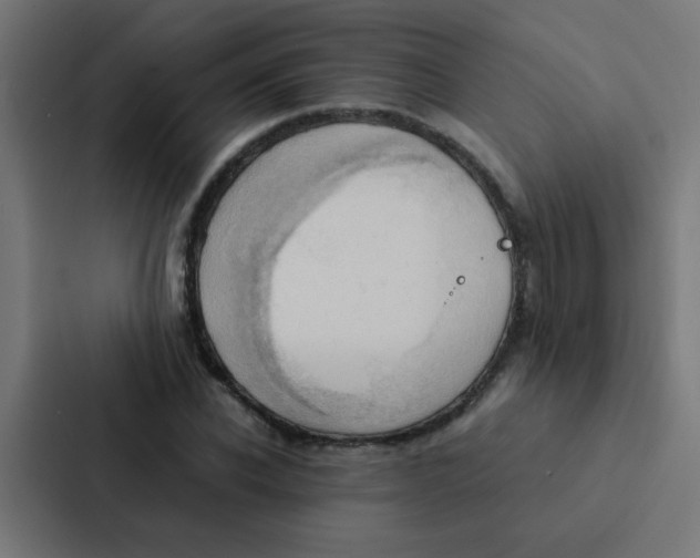 X0000087330926200705112154