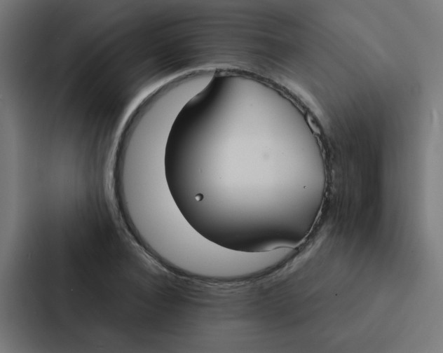 X0000087330928200705112154