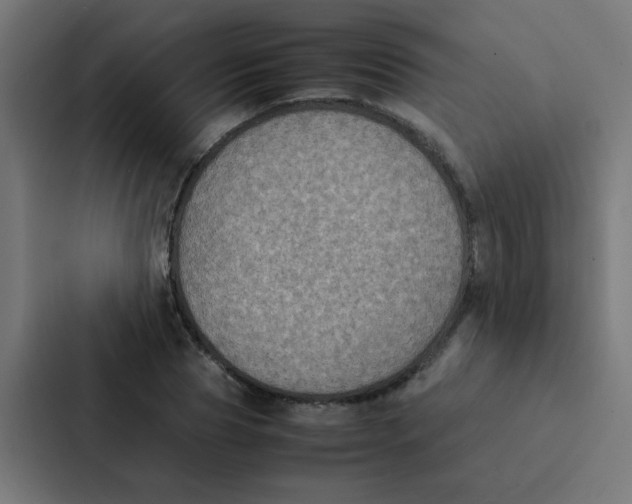 X0000087330929200705112154