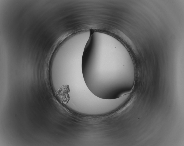 X0000087330930200705112154