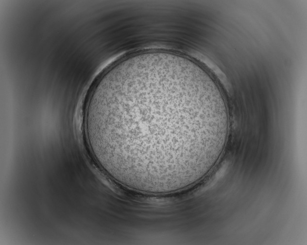 X0000087330933200705112154