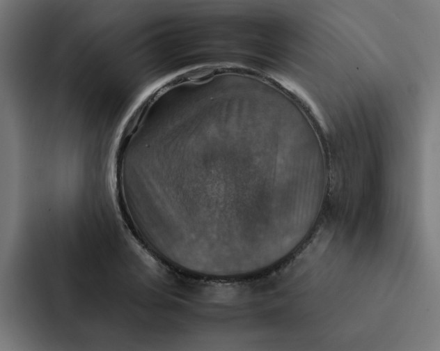 X0000087330935200705112154