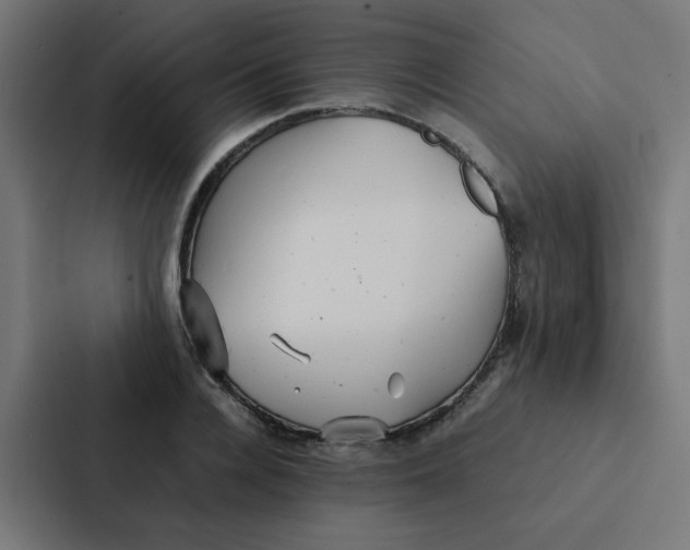 X0000087330936200705112154