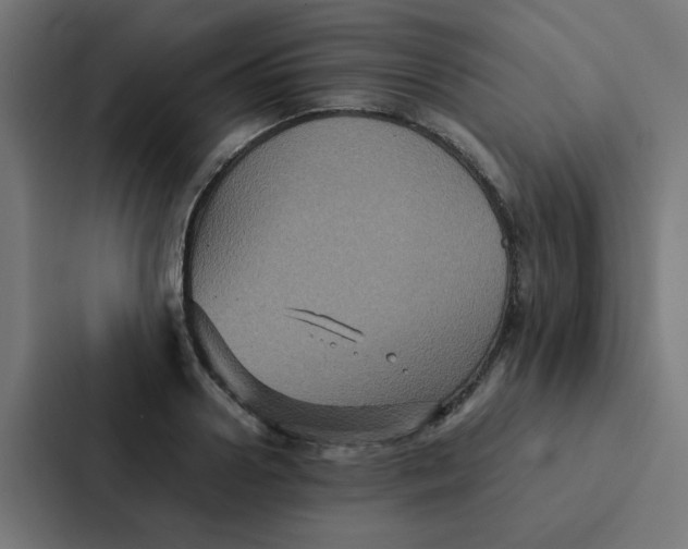 X0000087330938200705112154