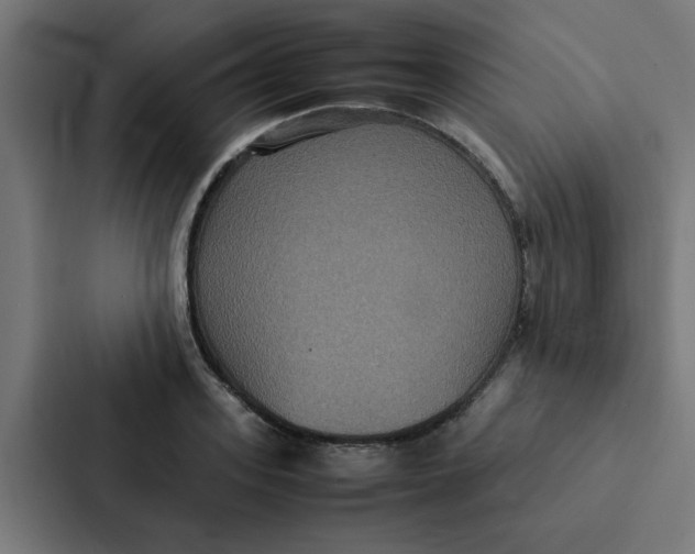 X0000087330939200705112154