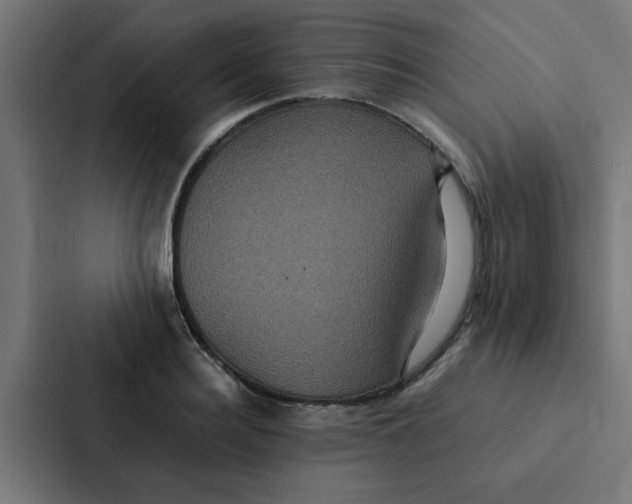 X0000087330940200705112154