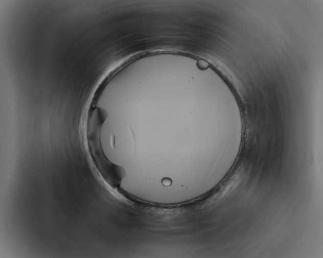 X0000087330941200705112154