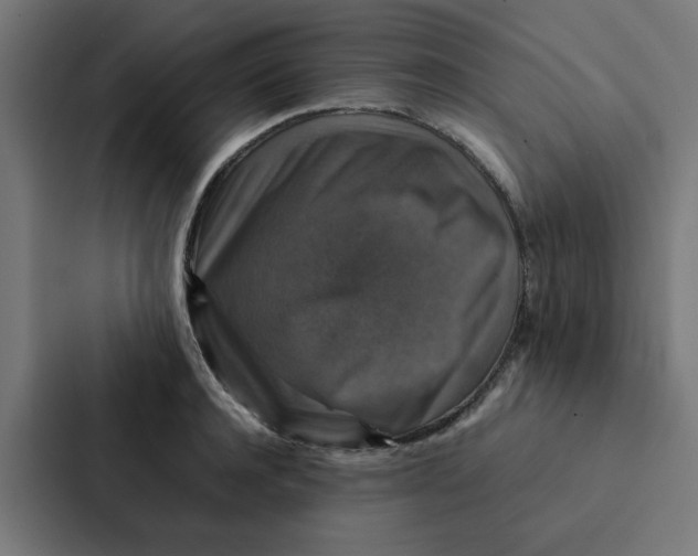 X0000087330944200705112154