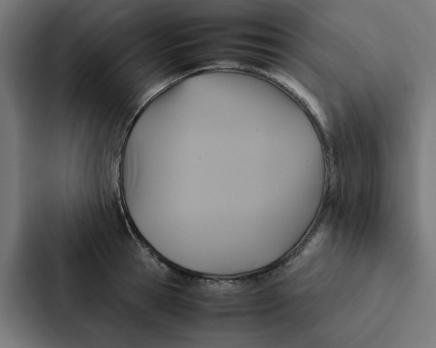 X0000087330945200705112154