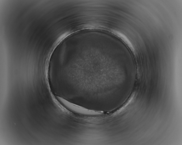 X0000087330946200705112154