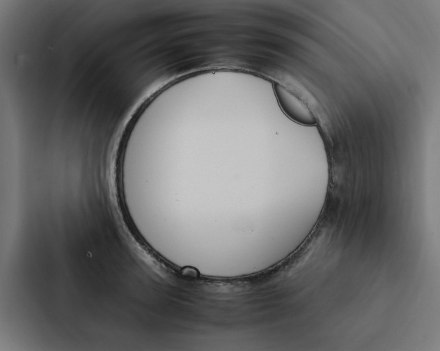 X0000087330947200705112154